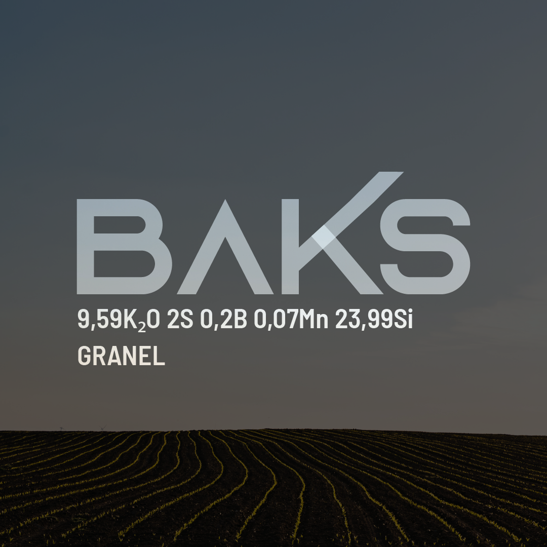 BAKS 9,59K2O 2S 0,2B 0,07Mn 23,99Si - Granel - 0